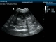 Фото Mindray DP-50 Vet