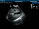 Фото Mindray DP-50 Vet