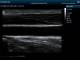 Фото Mindray DP-20 Vet