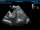 Фото Mindray DP-50 Vet